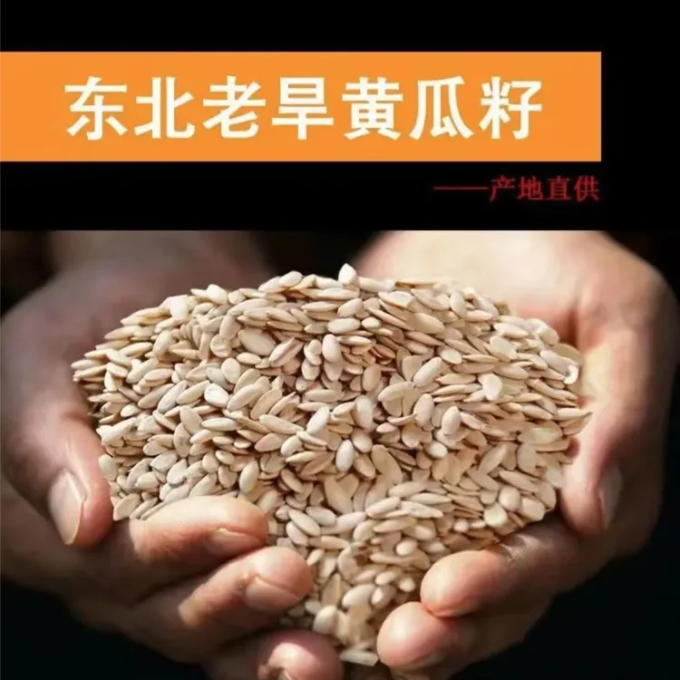 东北黄瓜子老旱黄瓜籽现打老黄瓜子可打粉生黄瓜籽净含量500克