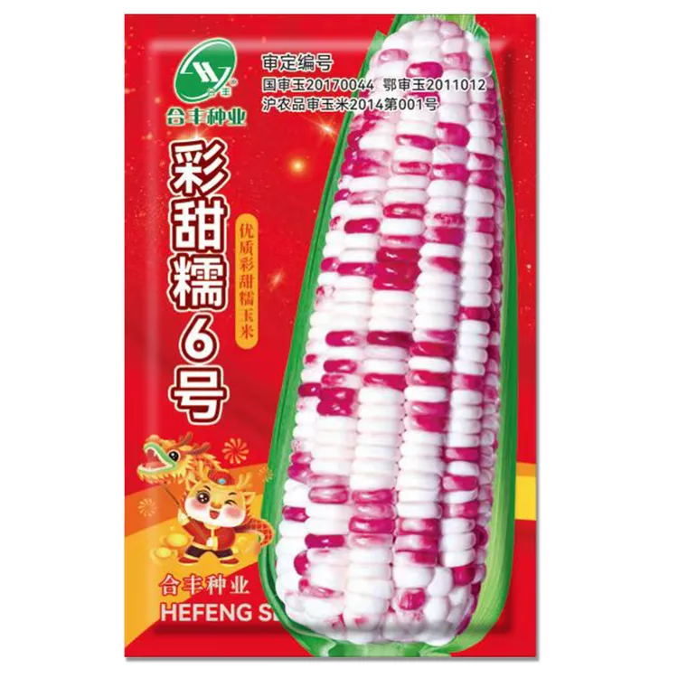 200克彩甜糯6号玉米种子