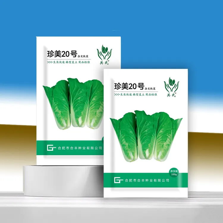 珍美20号耐抽苔深绿色厚叶面油亮型春秋季快菜生长快产量高