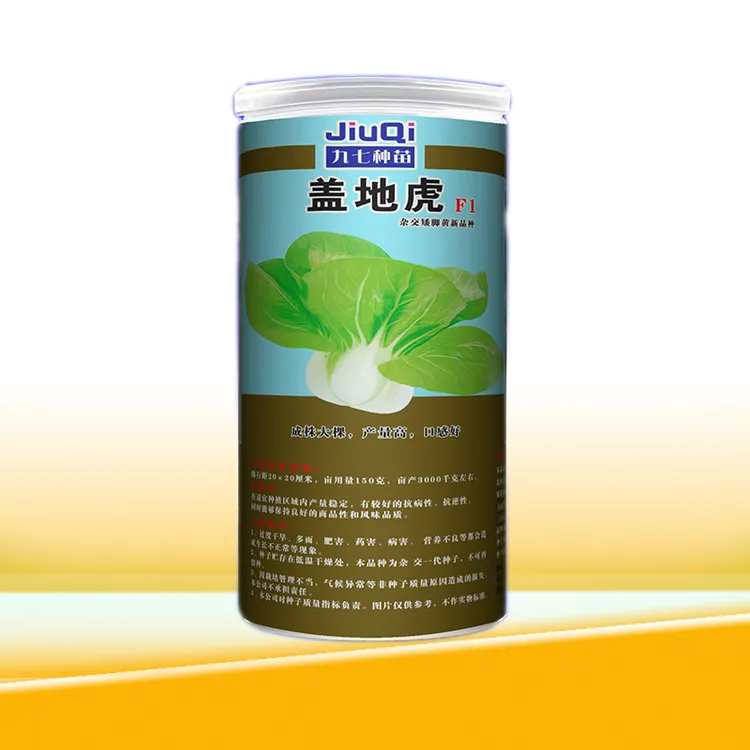盖地虎杂交矮脚黄奶白菜蔬菜基地种植专业菜农秋冬主栽品种种子
