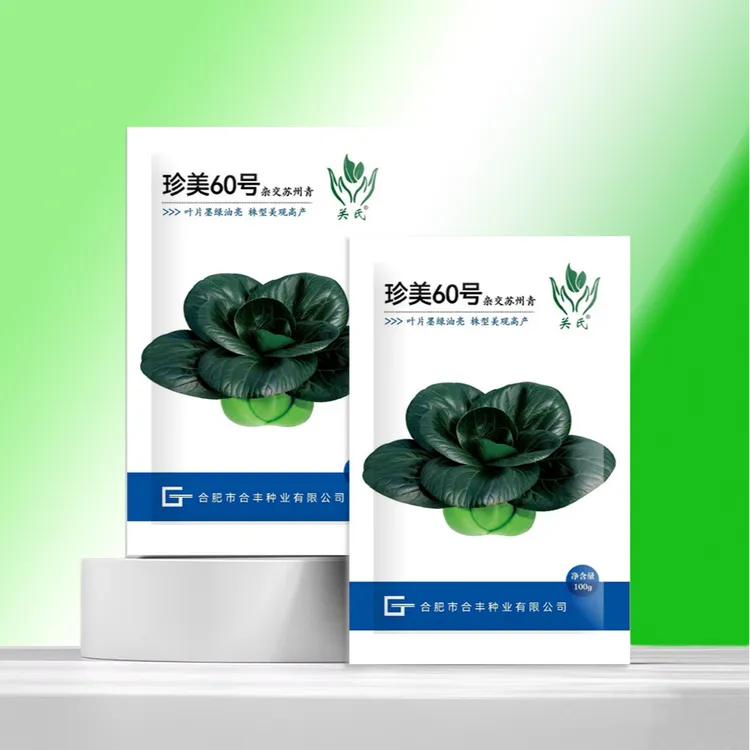 珍美60号黑叶耐寒矮脚苏州青种子秋冬季节露地或大棚种植甜糯高产