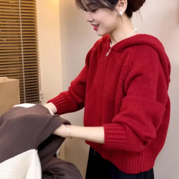 拉链复古红色毛衣女秋冬连帽外套设计感小众宽松针织洋气短款开