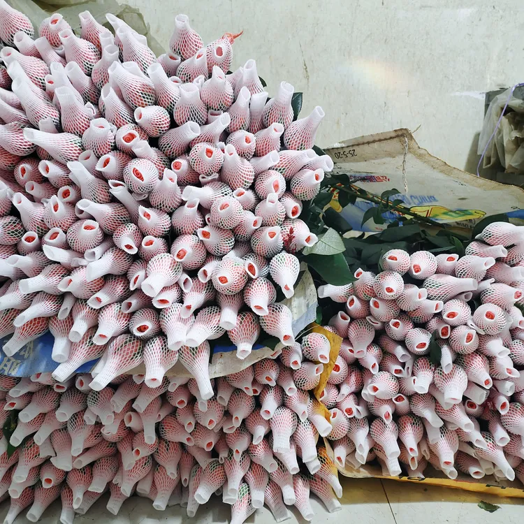 40支影星玫瑰鲜花新鲜月季水养花束客厅装饰鲜切花