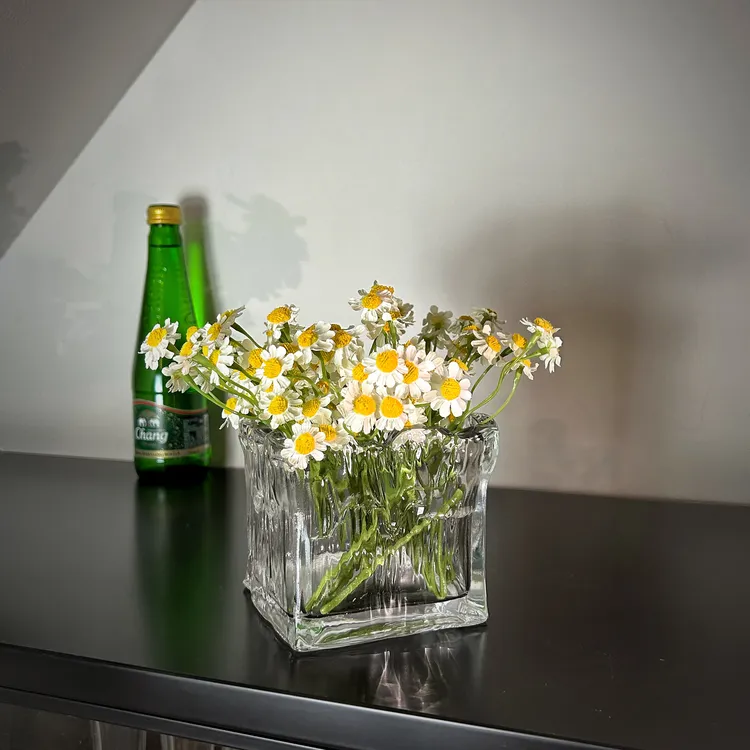 【柿吉】洋甘菊冰川玻璃缸套装花束仿真花桌面客厅桌面摆件摆放