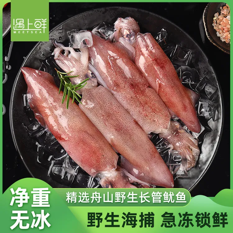 遇上鲜舟山野生长管鱿鱼 笔管鱿鱼新鲜速冻 肉质鲜嫩