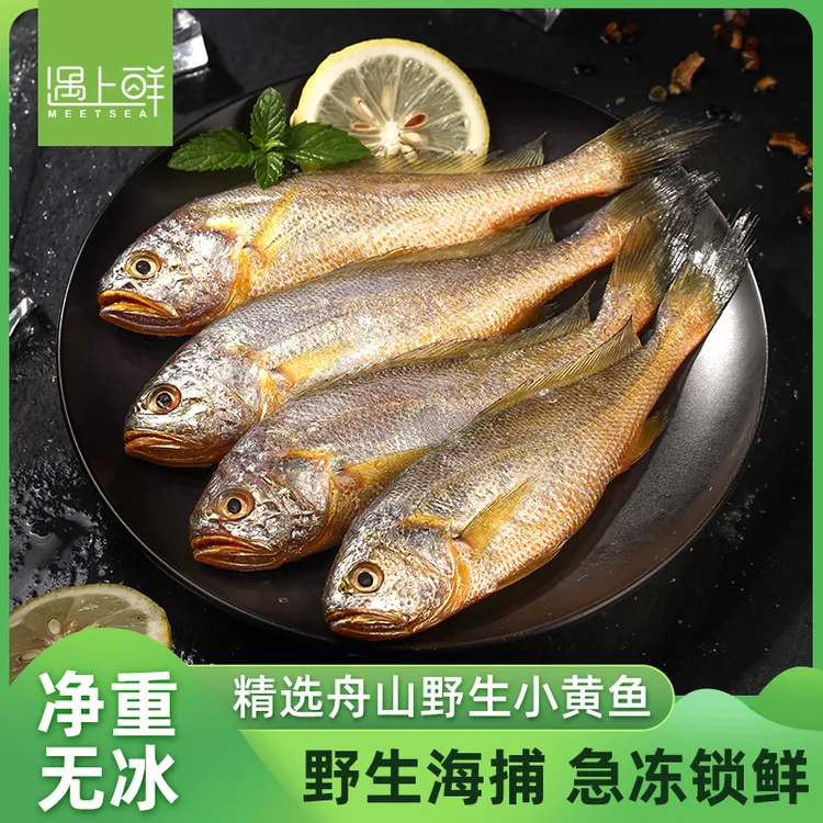 遇上鲜舟山野生小黄鱼深海捕捞鲜活速冻深海渔场肉质美味冷运配送