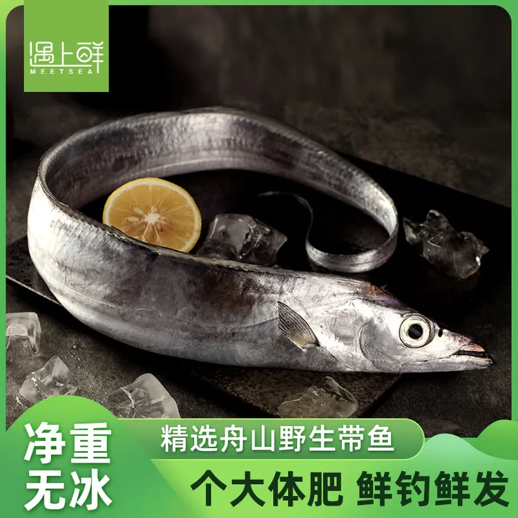 遇上鲜舟山东海野生钓带 3斤精选新鲜带鱼舟山本地发货冷运配送