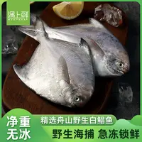 遇上鲜舟山野生白鲳鱼 鲜活速冻 深海渔场 清蒸肉质美味 5条/1斤