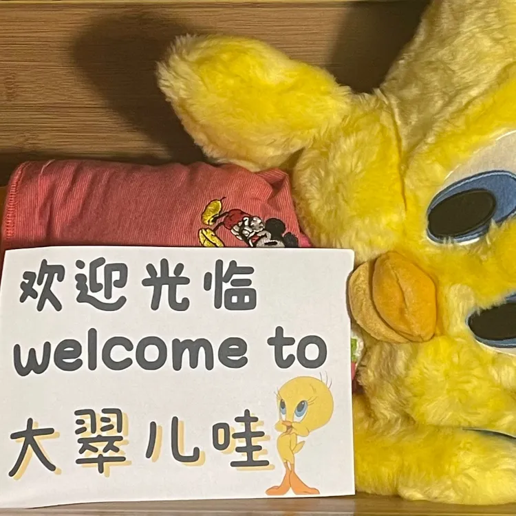 （1号）大翠儿哇中古毛绒玩偶孤品（默认接受微瑕疵）中古老毛料玩偶