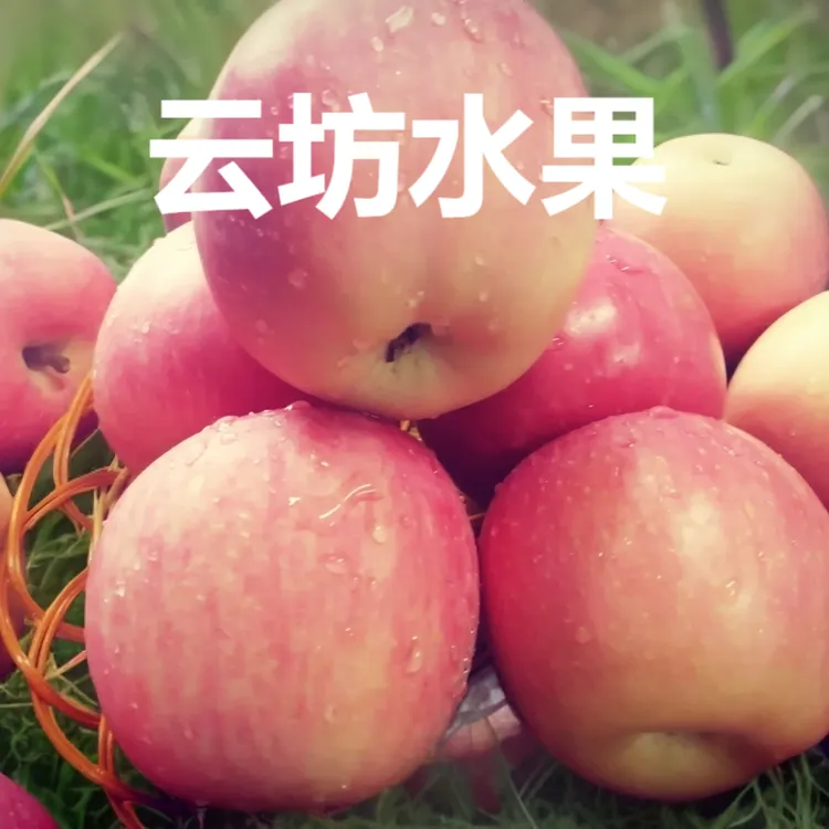 2025年陕西纸袋红富士苹果含箱5斤新鲜脆甜多汁营养香甜时令