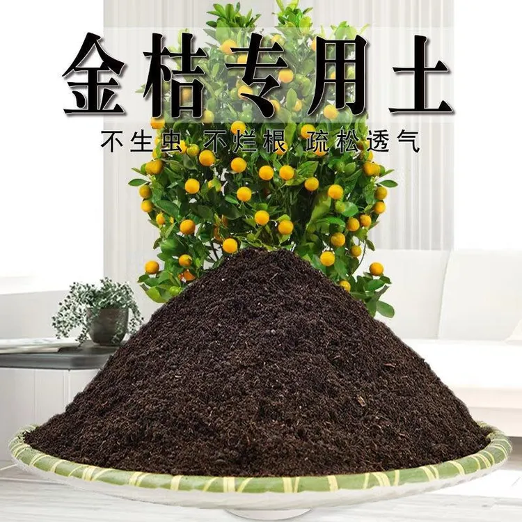 金桔专用土桔子专用营养土家庭橘子种植土养花土通用型种花土肥料
