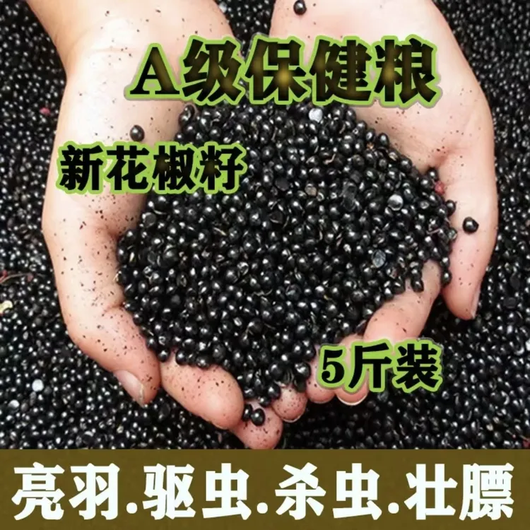 优质鸽子零食花椒籽