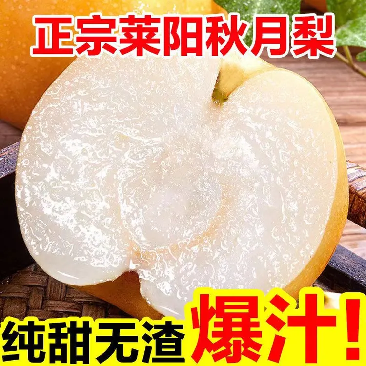 【曲书记秋月梨】顺丰发货莱阳正宗新鲜脆甜薄皮超甜梨子细腻山东