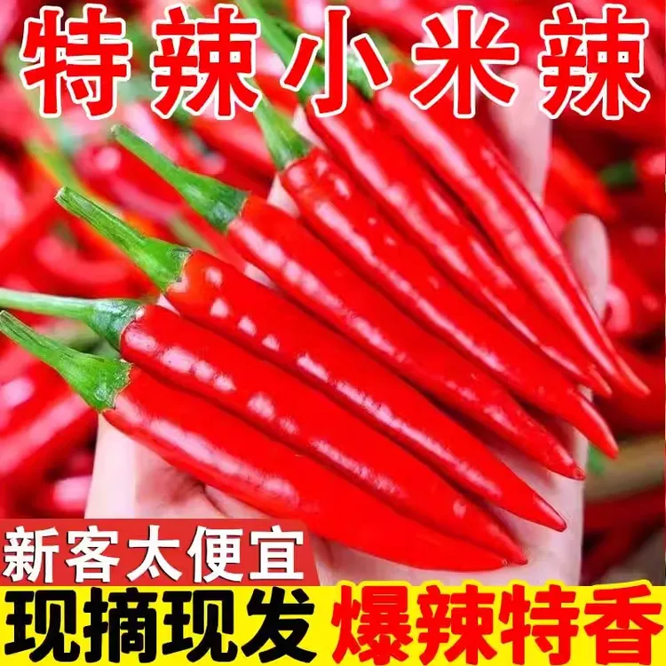 【官方补贴】特辣小米椒新鲜现摘朝天椒特辣超辣薄皮红辣椒指天椒