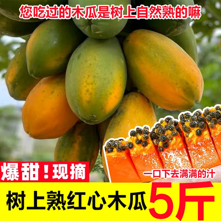 【超级补贴】正宗广东红心木瓜新鲜老树整箱当季孕妇冰糖心熟木瓜