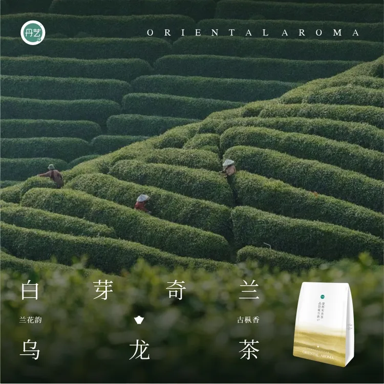 丹艺白芽奇兰乌龙茶500g奶茶店专用柠檬茶奶茶岩茶原幽谷奇兰茶叶