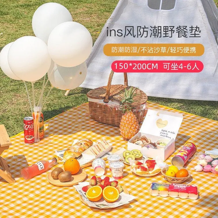户外用品野餐垫沙滩帐篷垫子防潮垫加厚便携春游垫野餐盒ins风