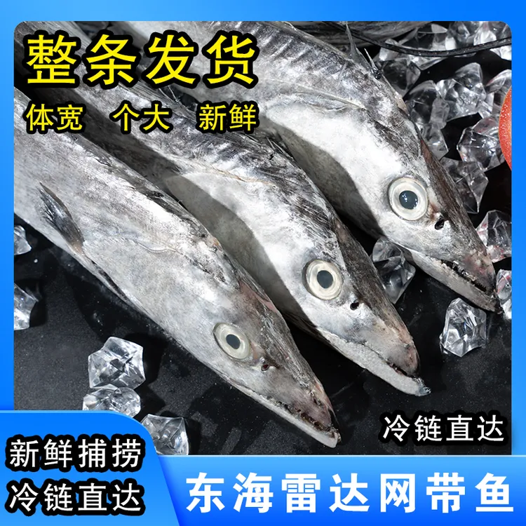 【自家渔船捕捞】新鲜东海黑眼无冰特级小眼大带鱼海捕冷链直达整条