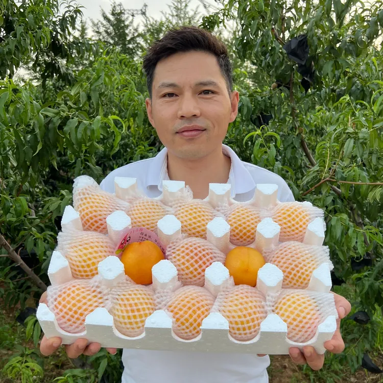 【涛子自营】【顺丰包邮】蒙阴蜜桃黄油桃彩虹油桃4.5斤包邮产地直发