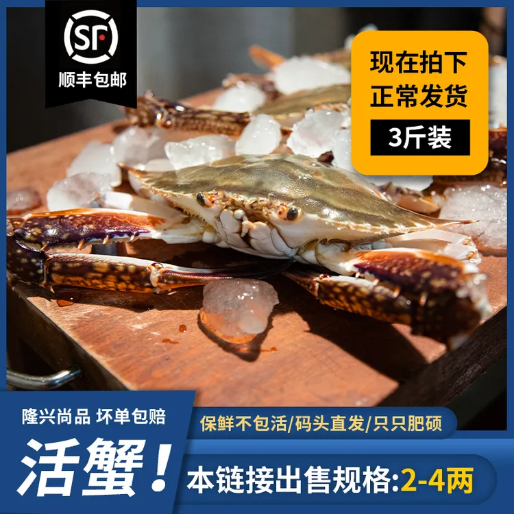 优选舟山红膏梭子蟹活发月岙蟹2斤起单只2-3两【保鲜不保活】