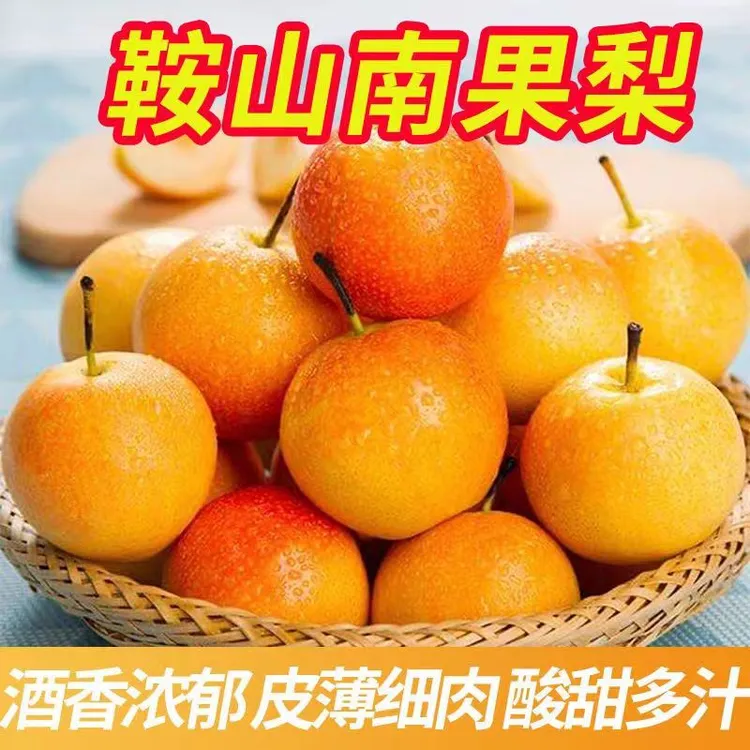 【顺丰包邮】鞍山南国梨东北特产皮薄新鲜酒香梨成熟香甜多汁南果梨