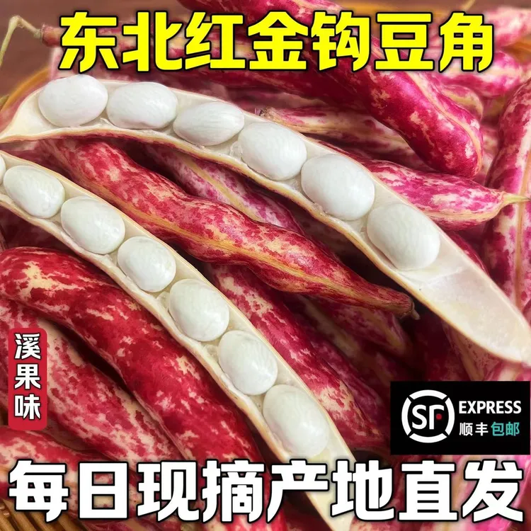 东北红金钩豆角新鲜现摘黄金勾全是豆的豆角【顺丰包邮】