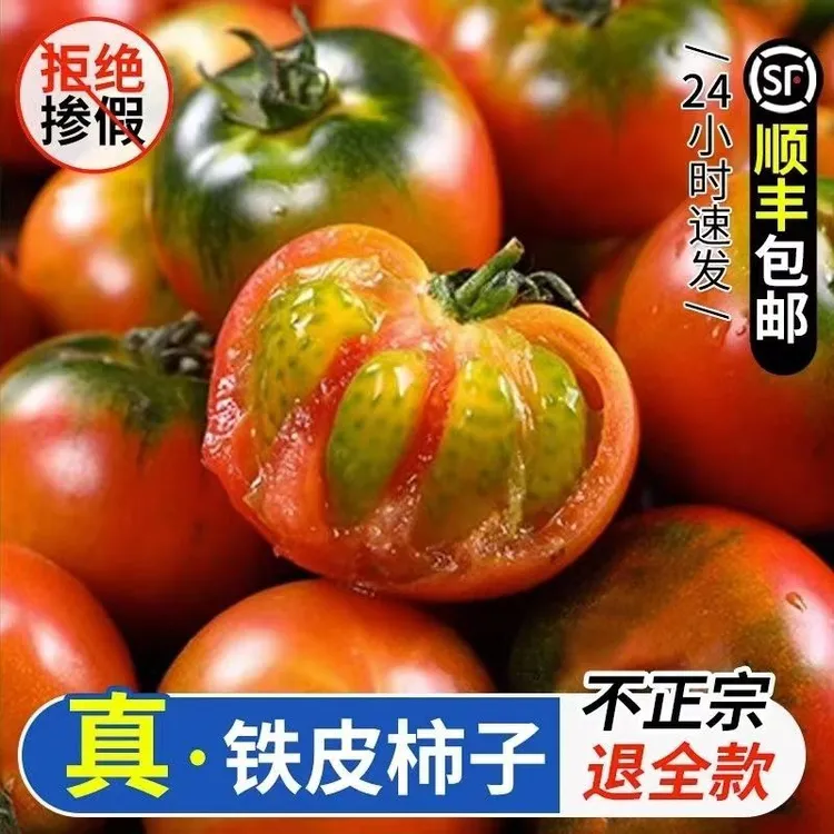 【顺丰包邮】碱地铁皮柿子皮薄酸甜可口新鲜爽口水果西红柿3/5斤