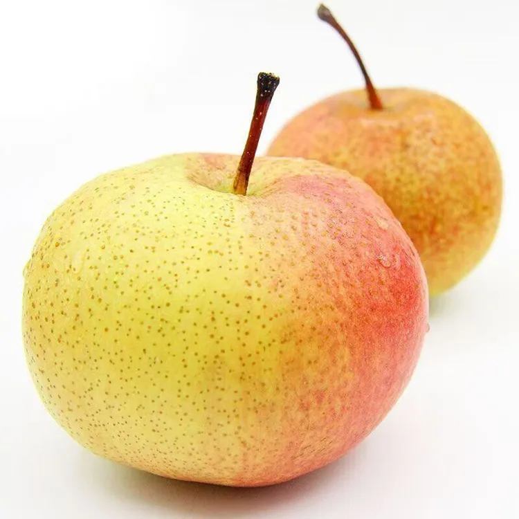 东北苹果梨甜脆多汁新鲜应季水果霜后汁水足顺丰包邮