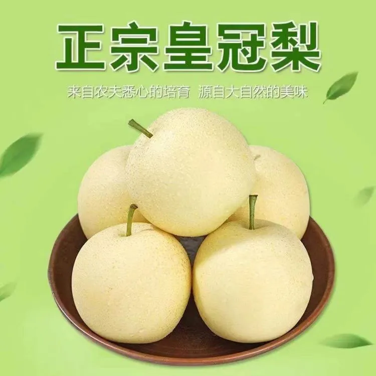 【表面斑点梨】皇冠梨脆甜可口，5斤装，9斤装