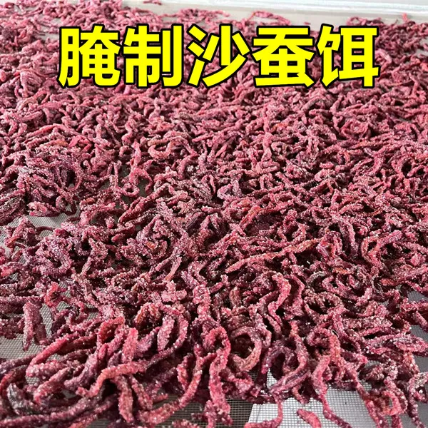 腌制沙蚕沙蚕腌制饵腌制沙蚕钓饵