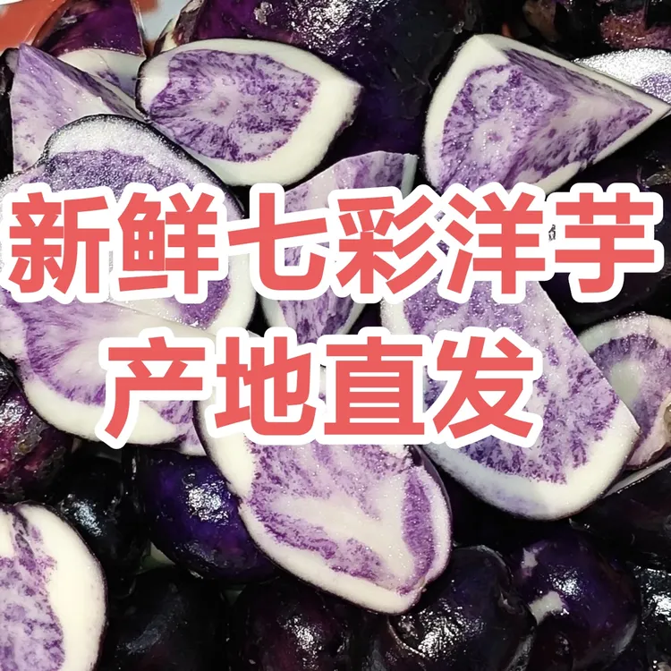 云南乌洋芋老品种紫皮花心小土豆新鲜迷你七彩洋芋正宗紫心土豆