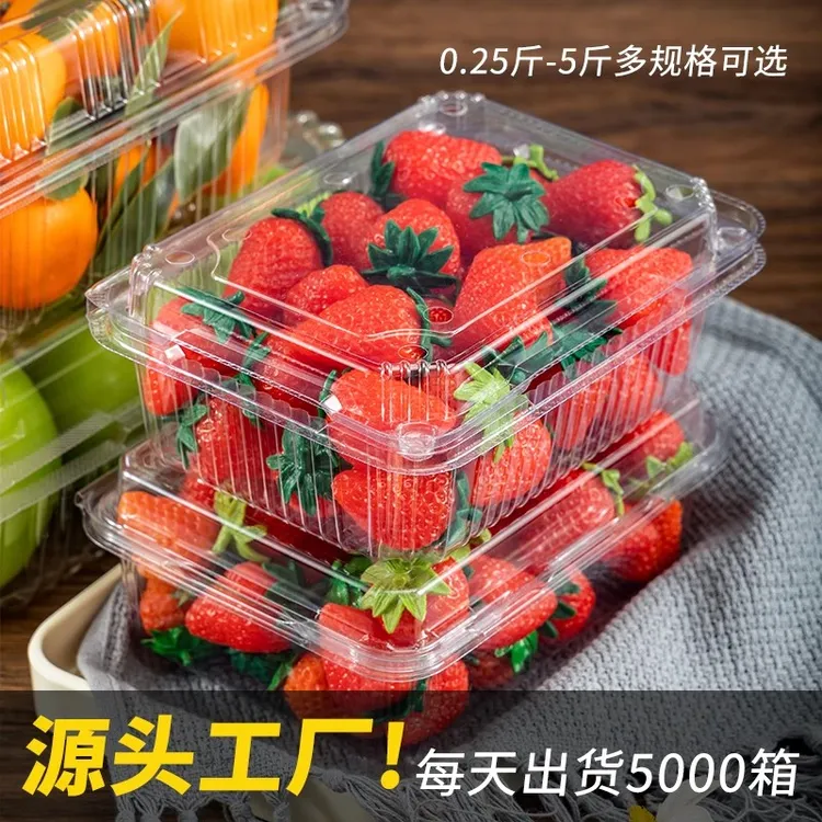 一次性透明塑料带盖水果包装盒500g草莓蔬菜打包盒子水果打包盒