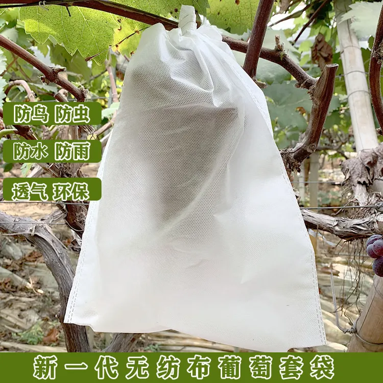 白色无纺布透气防水防鸟啄水果套袋 巨峰葡萄套袋 露天大棚都可用