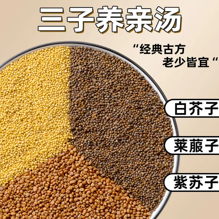 三子养亲汤莱菔子紫苏子白芥子颗粒中药材原料痰湿非茶同仁堂