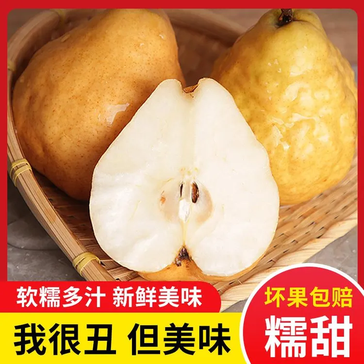 烟台中华丑梨新鲜大头梨当季水果大果正宗山东啤梨当季整箱包邮
