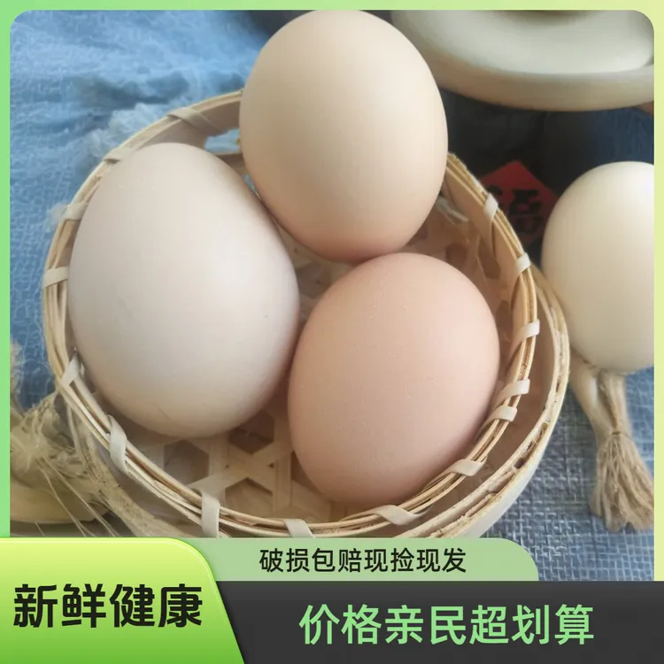 小可家的10/30枚装尝鲜装散养土鸡蛋新鲜健康好吃一箱土鸡蛋装