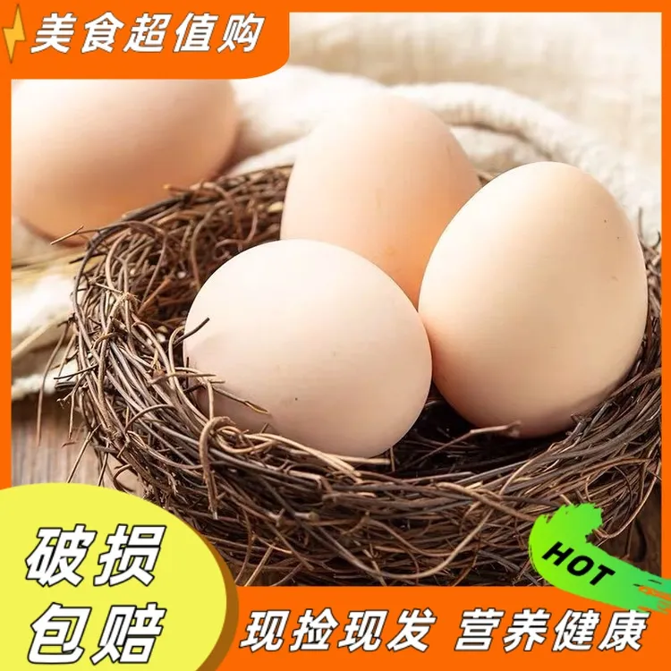 小可一箱10枚尝鲜装散养土鸡蛋新鲜健康好吃土鸡蛋装鲜鸡蛋笨鸡蛋
