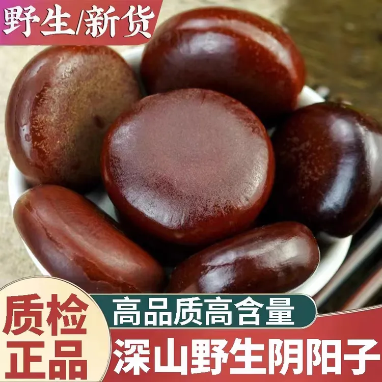 精选正品广西阴阳子新货木腰子肾树宝藤子包邮