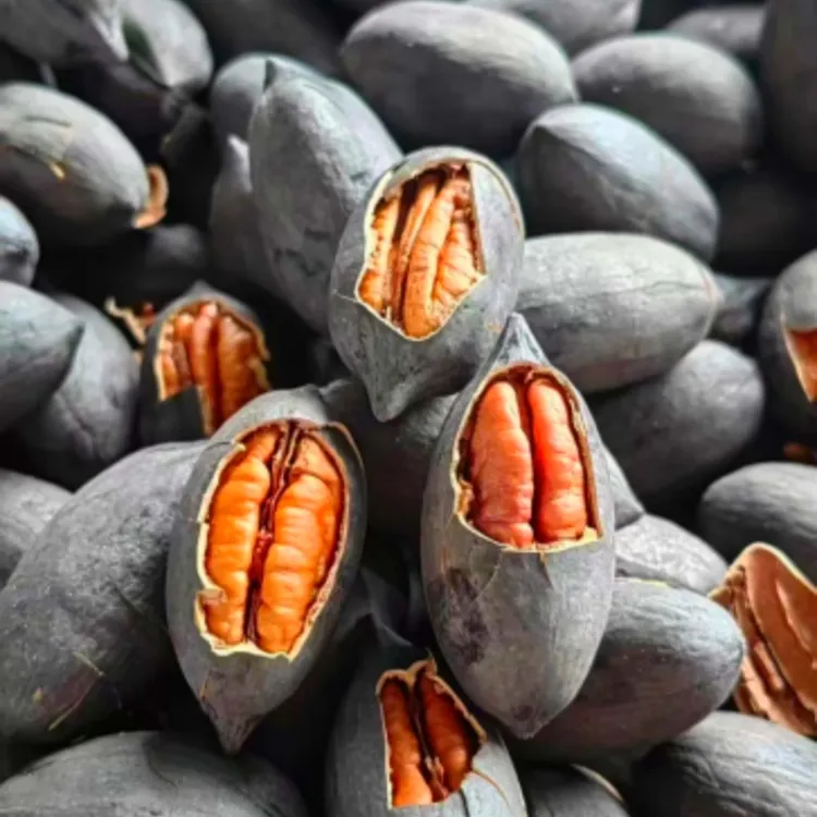 黑金水煮超大碧根果新货酥脆网红手剥美国山核桃孕妇儿童坚果零食