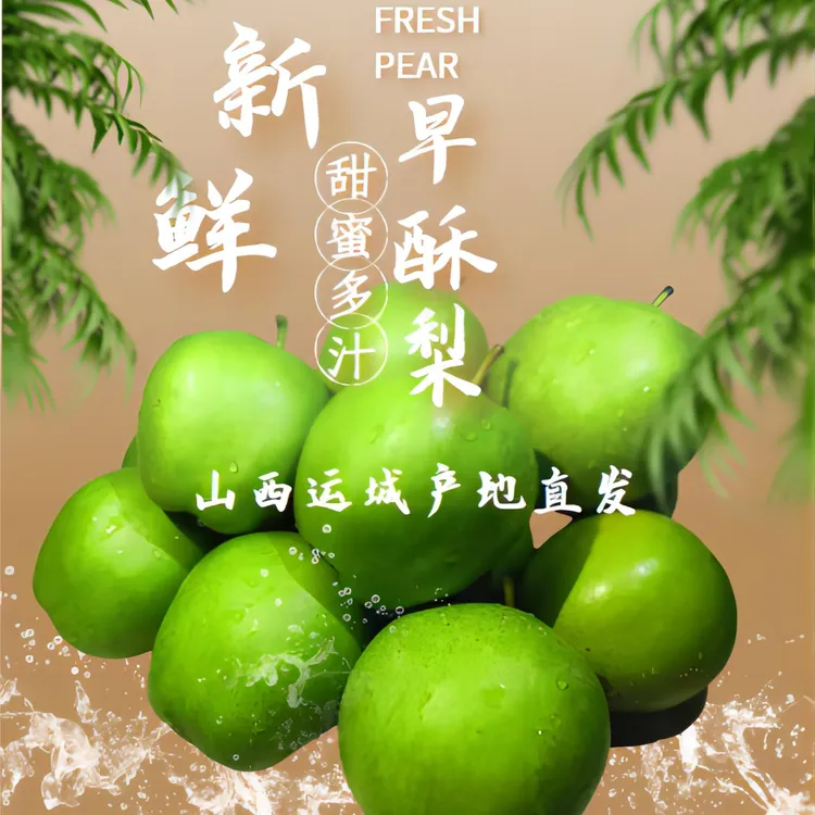 山西早酥梨应季新鲜水果清脆薄皮多汁三斤大果包邮甘甜香甜早酥梨