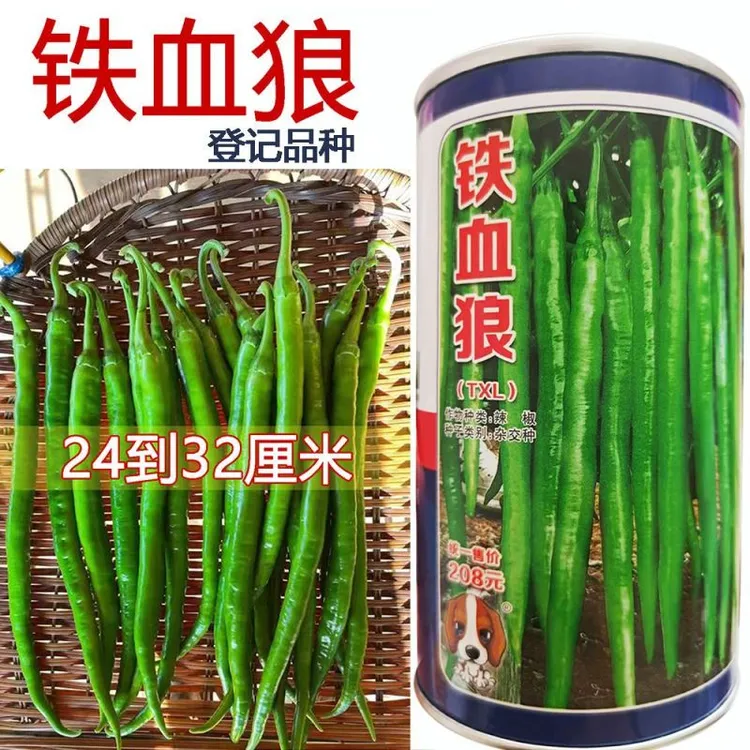海迈铁血狼辣椒种子早熟杂交青果嫩绿色辣味香浓抗病强大田用种孑