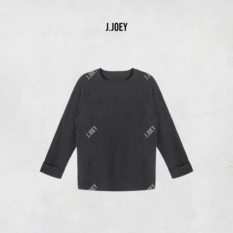 J.JOEY “100羊毛”秋季极简风宽打底长袖圆领套头卫衣 0659