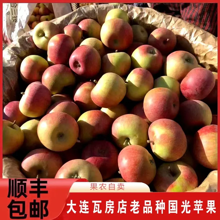 【老树国光顺丰包邮】大连瓦房店正宗黄瓤国光苹果酸甜薄皮小苹果