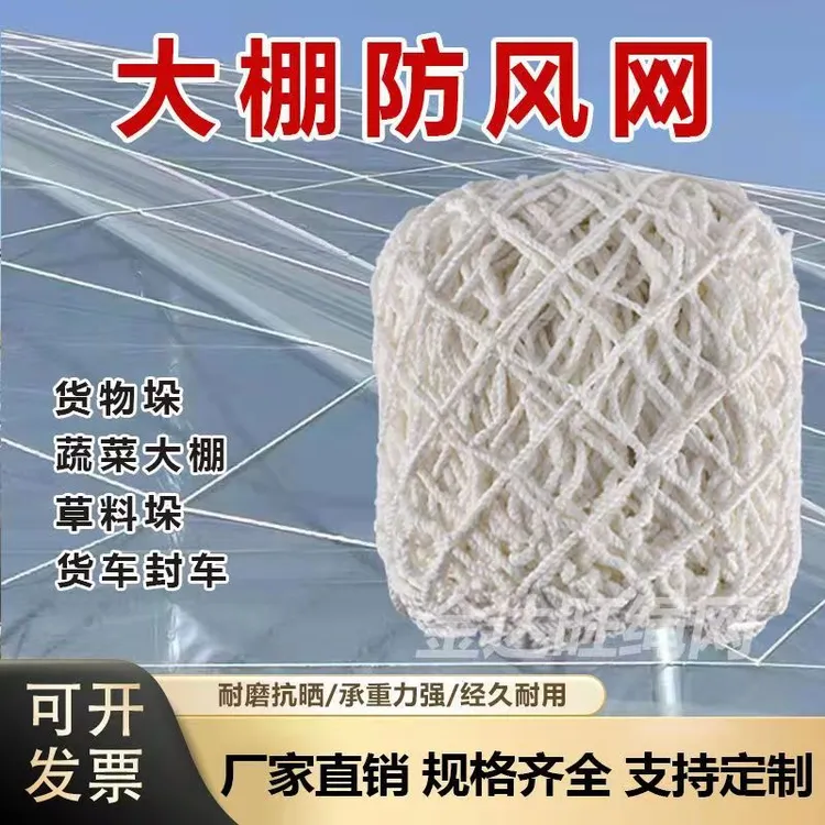 大棚防风网户外户外防护网草垛封垛网养殖尼龙挡风网耐用压膜网