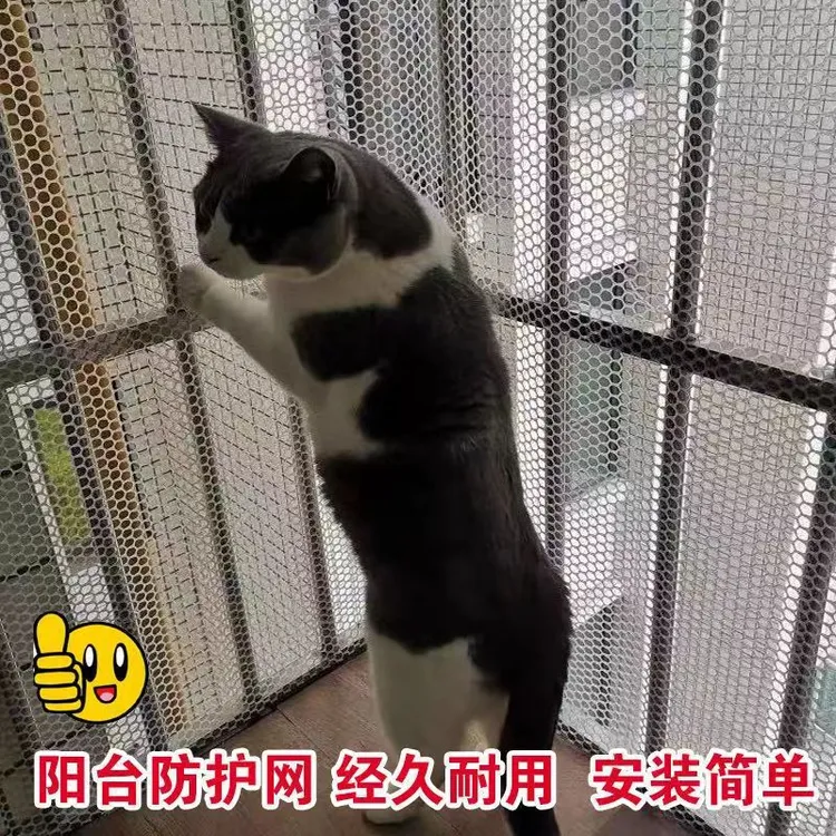 晟星辉耐用防护网塑料网防盗窗防坠防掉垫设计防猫网围栏网养殖网