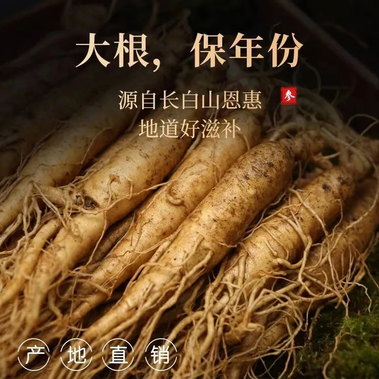 长白山原产地直发鲜人参【25支左右】-500g精选一斤装