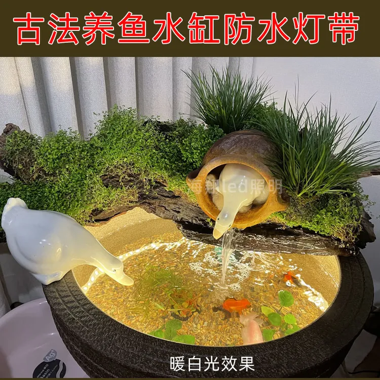 防水软灯带24V伏古法养鱼水缸鱼缸水池泳池水底下户外灌胶led灯条