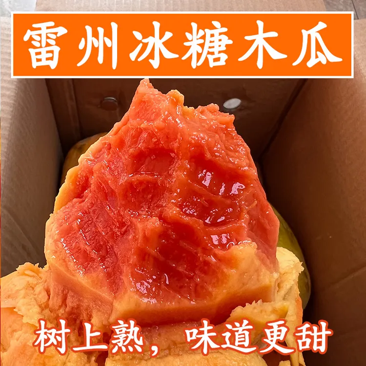 【树上熟 雷州冰糖木瓜】绿符老树红心木瓜当季新鲜水果8/5/3斤包邮