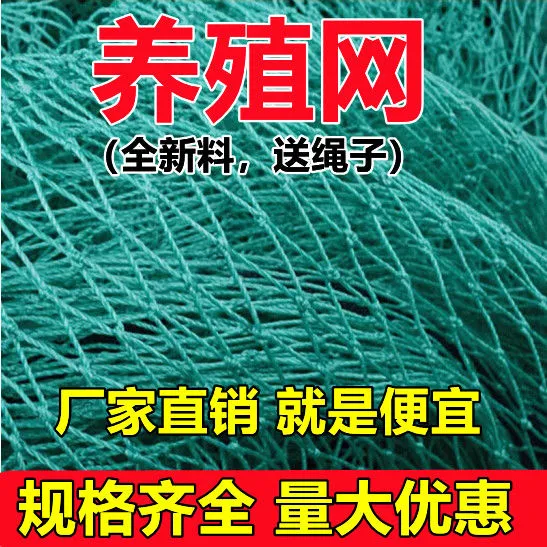 养鸡网家禽养殖网拦鸡鸭网防鸟网爬藤网菜园围网果园网护栏网天网