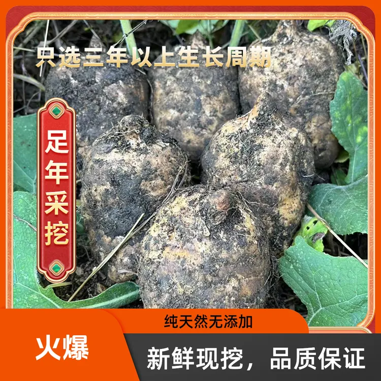 云南昭通小草坝高山乌天麻（拍三斤送半斤，拍四斤送一斤）